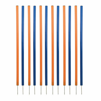 V3H0E1D33632766FA60CE1E5A698BCAF1E9R5763181P1