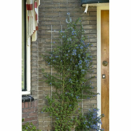 V7HD6C4949E70F7D948D0341FB5B249BF18R7321275P3