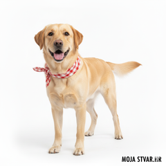 Collection image for: Psi