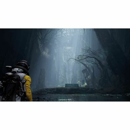 V6H9CC06574B97B64C38CB94DAE07AED446R3750942P2