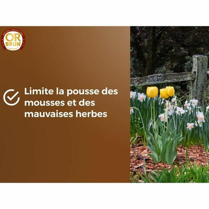 V2HF70E6DFDB3A5770DAD0C2A3791808D11R7048564P3