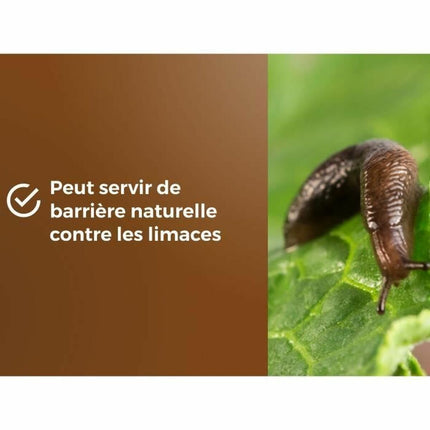 V3H90DD8B0C9260BA948ED1E34CEB99248FR5819564P5