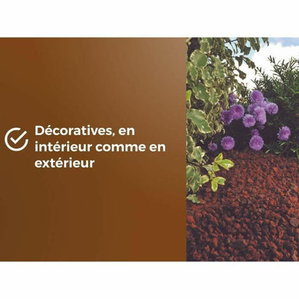 V3H9886F4DA9DBEAC634B89A0BBB9DE5E56R5819566P6