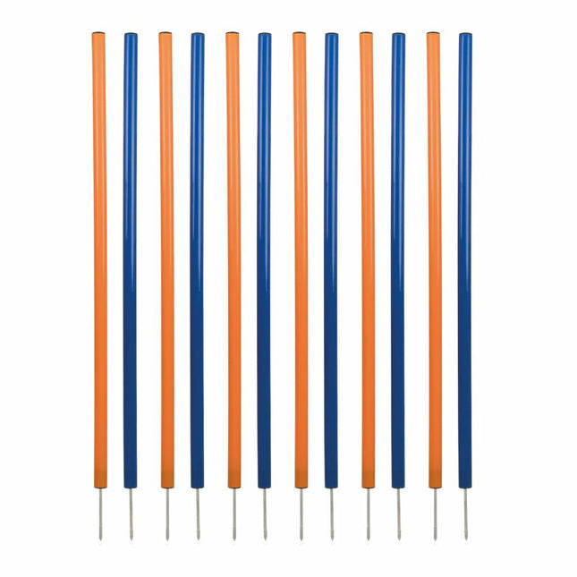 V3H0E1D33632766FA60CE1E5A698BCAF1E9R5763181P1