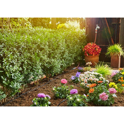 V4H9FF920ED9A1D737349CC7FBFF1C36C41R7162888P7