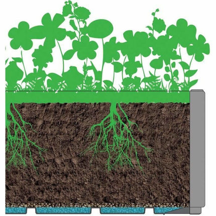 V6H53AE1D3049F134B6A884756693A2244ER4009789P5